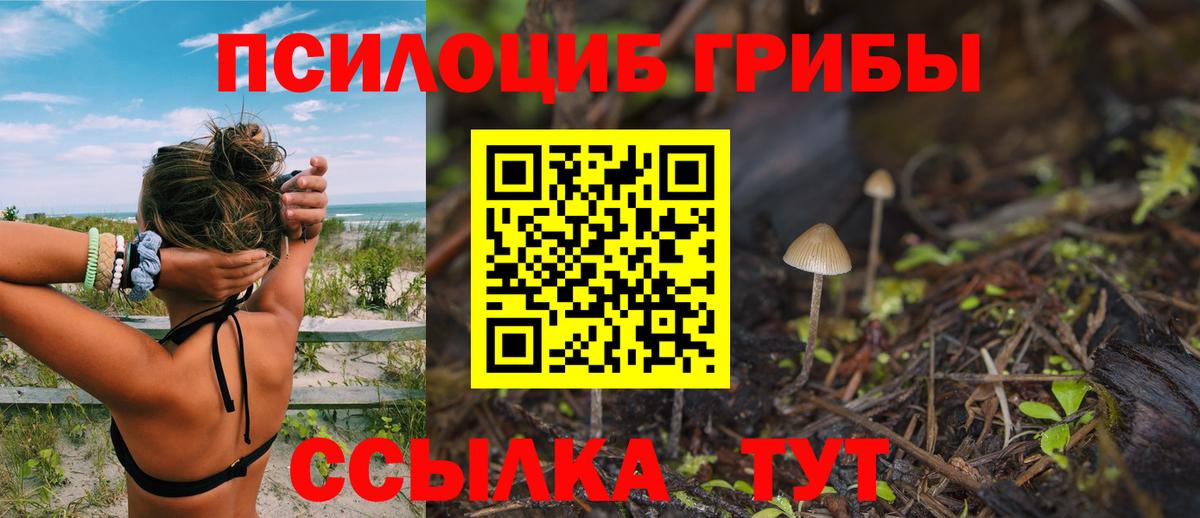 Галлюциногенные грибы Psilocybe  Вход с VPN  Апатиты 